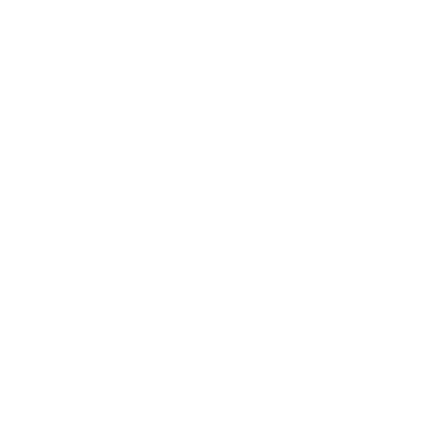 phoneIcon